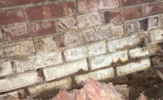 Brick wall with visible water leak and mold