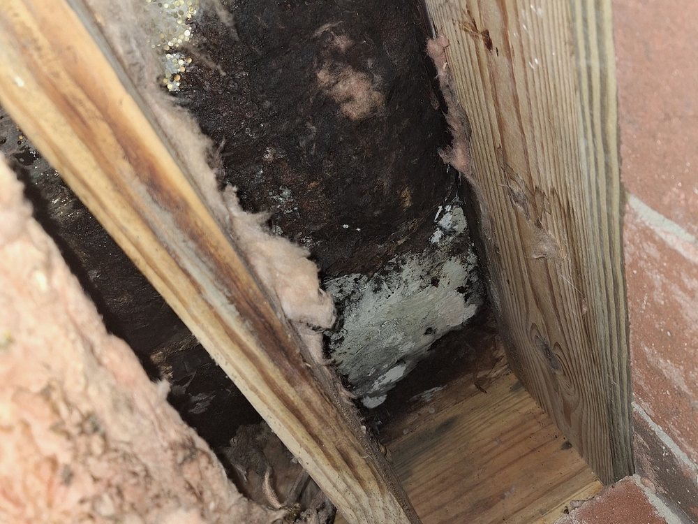 Efflorescence on damp crawl space framing