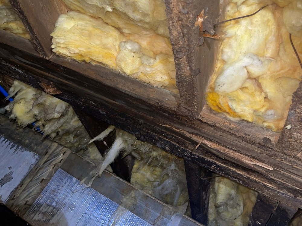 Rotted crawl space floor joist