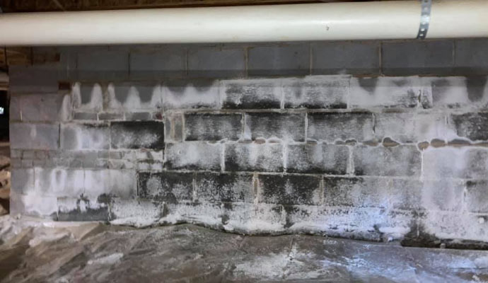 Mold in crawlspace