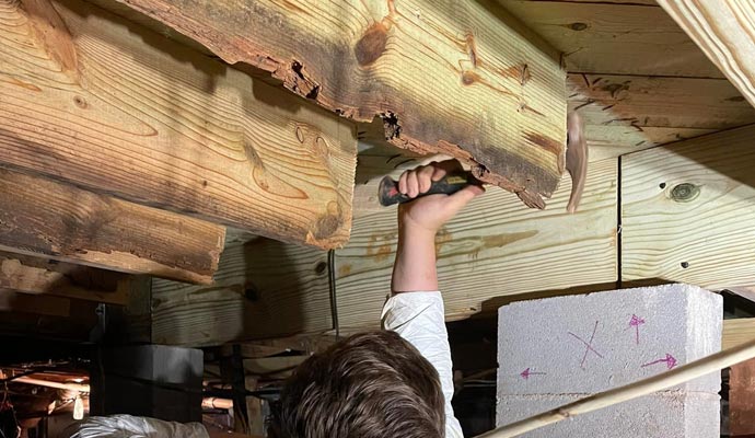 A person inspecting a damaged wooden beam