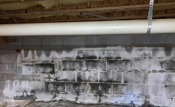 Crawlspace with visible mold growth.