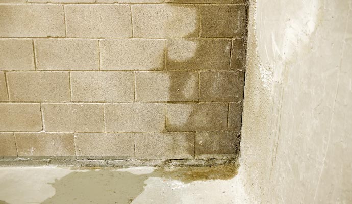 Water damaged wall