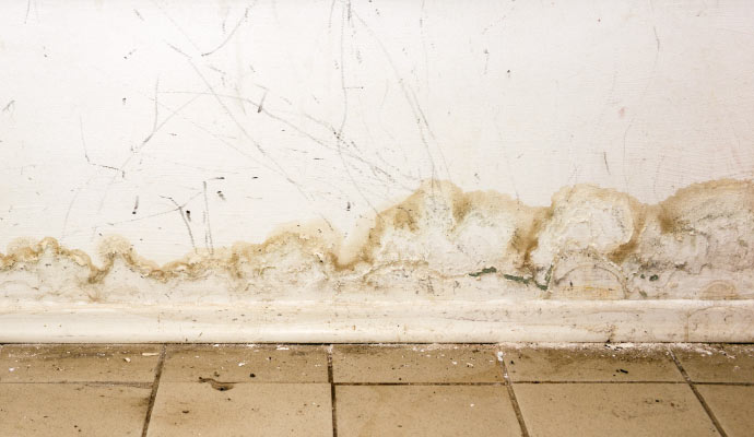water stains on walls & floor